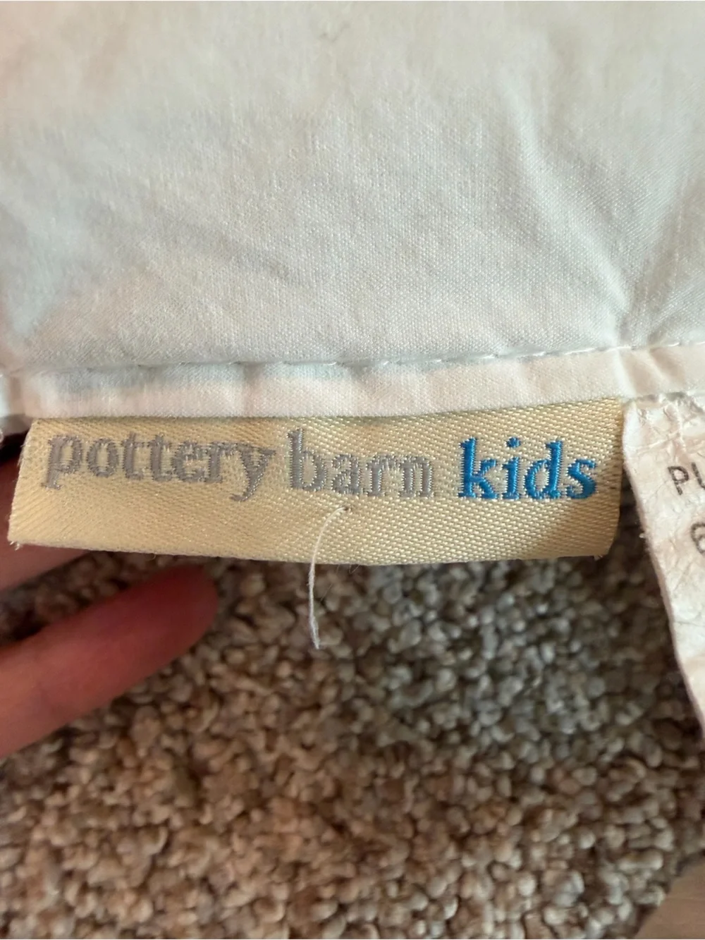Pottery Barn Kids Eco Down Free Toddler Comforter Duvet Insert